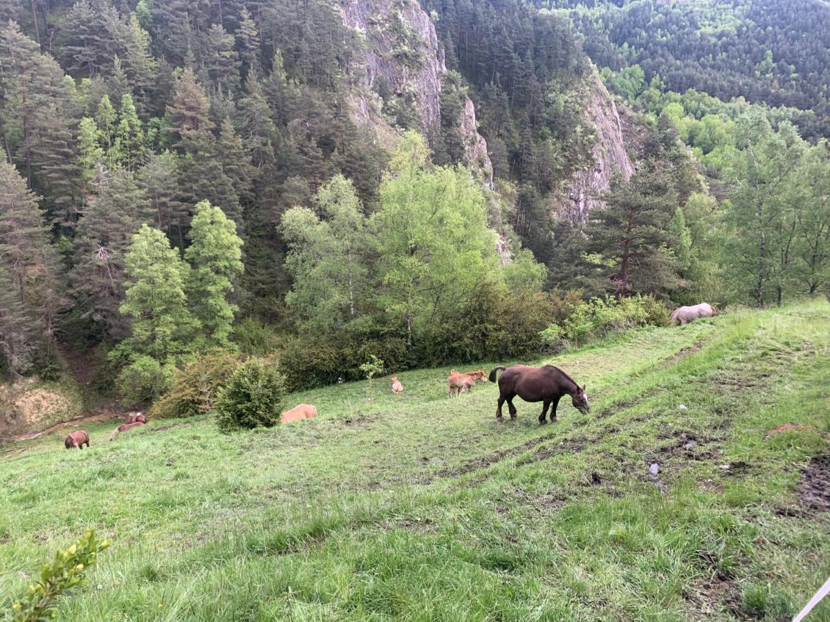 Siscaro - Peu Del Riu 310 - Vall D'Incles - Soldeu Apartment ภายนอก รูปภาพ